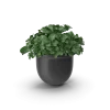 [TEST] [TEST] Meridian Self-Watering Planter view 1
