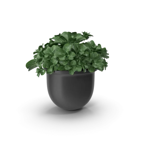 [TEST] [TEST] Meridian Self-Watering Planter view 1
