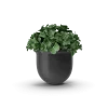 [TEST] [TEST] Meridian Self-Watering Planter view 2