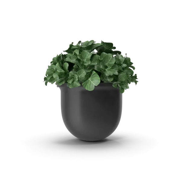 [TEST] [TEST] Meridian Self-Watering Planter view 2