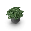 [TEST] [TEST] Meridian Self-Watering Planter view 3