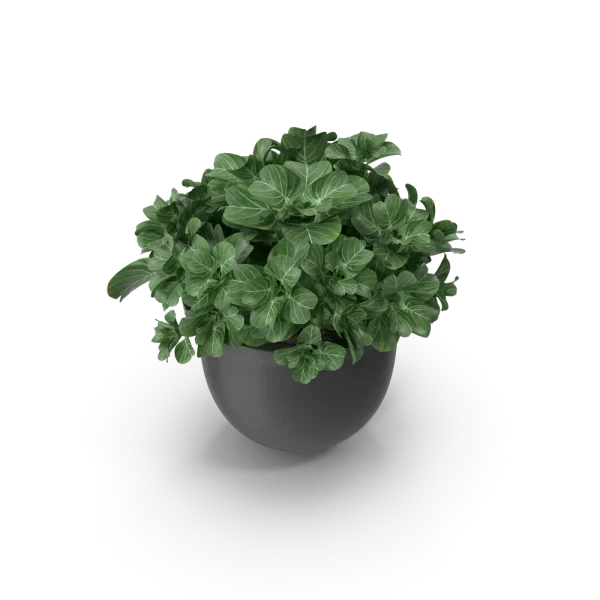 [TEST] [TEST] Meridian Self-Watering Planter view 3