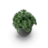 [TEST] [TEST] Meridian Self-Watering Planter view 4