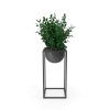 [TEST] [TEST] Quietleaf Display Plant view 1