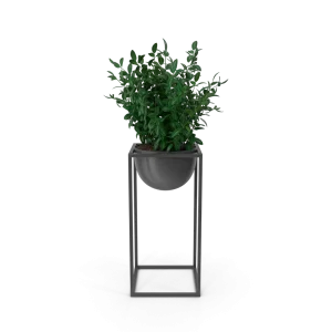 [TEST] [TEST] Quietleaf Display Plant view 1