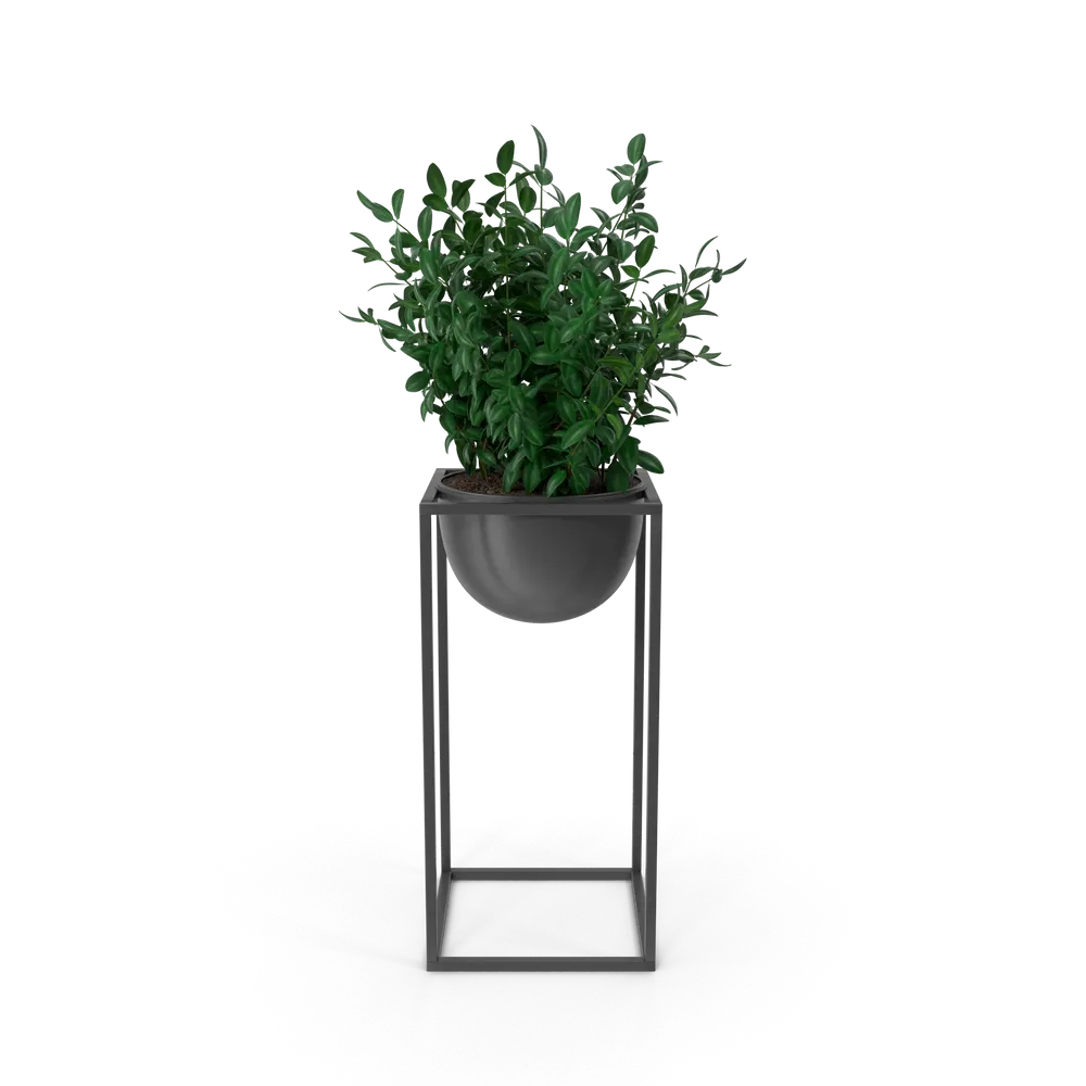 [TEST] [TEST] Quietleaf Display Plant view 1