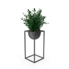 [TEST] [TEST] Quietleaf Display Plant view 2