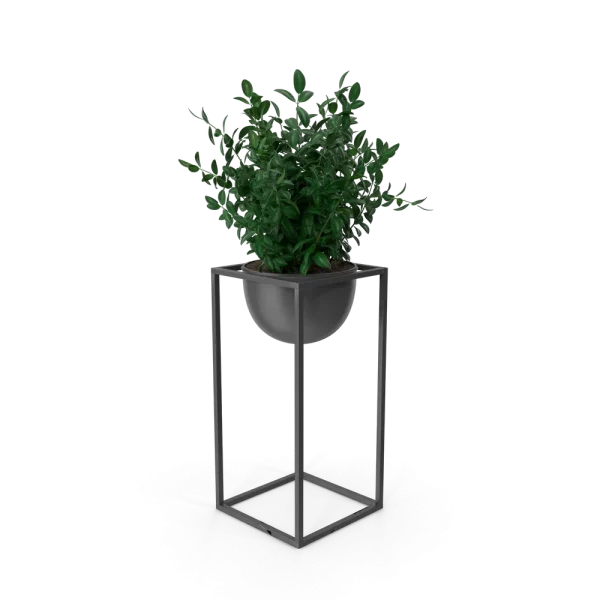 [TEST] [TEST] Quietleaf Display Plant view 2