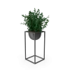 [TEST] [TEST] Quietleaf Display Plant view 3
