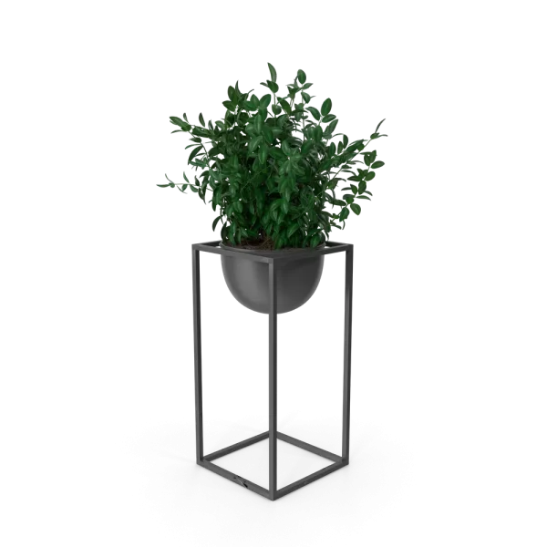 [TEST] [TEST] Quietleaf Display Plant view 3